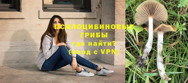 стаф Инсар