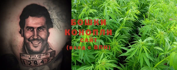 стаф Инсар