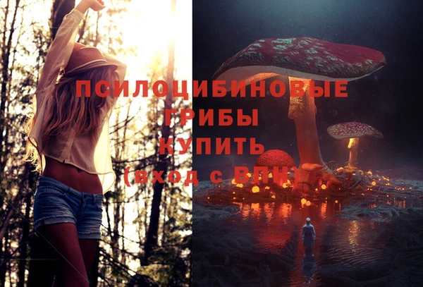 мяу мяу мука Инта