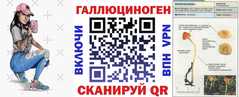 Купить где  Советский  Галлюциногенные грибы мухоморы 